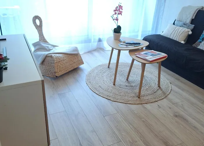 St Lary Soulan Village - Classe 3 Etoiles Et Labelise - Wifi Inclus Apartment